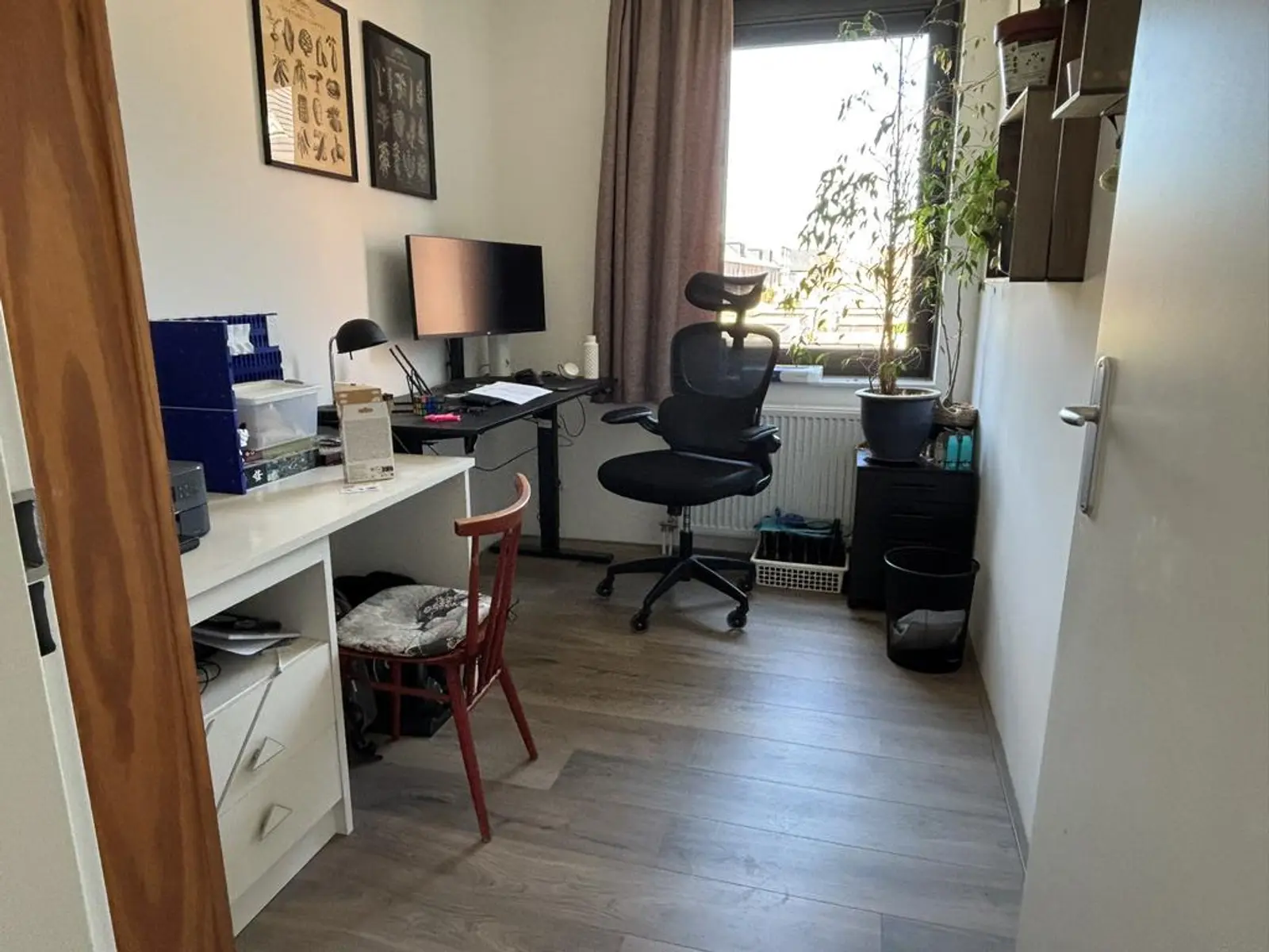 Zirkonium 16, Arnhem foto 4