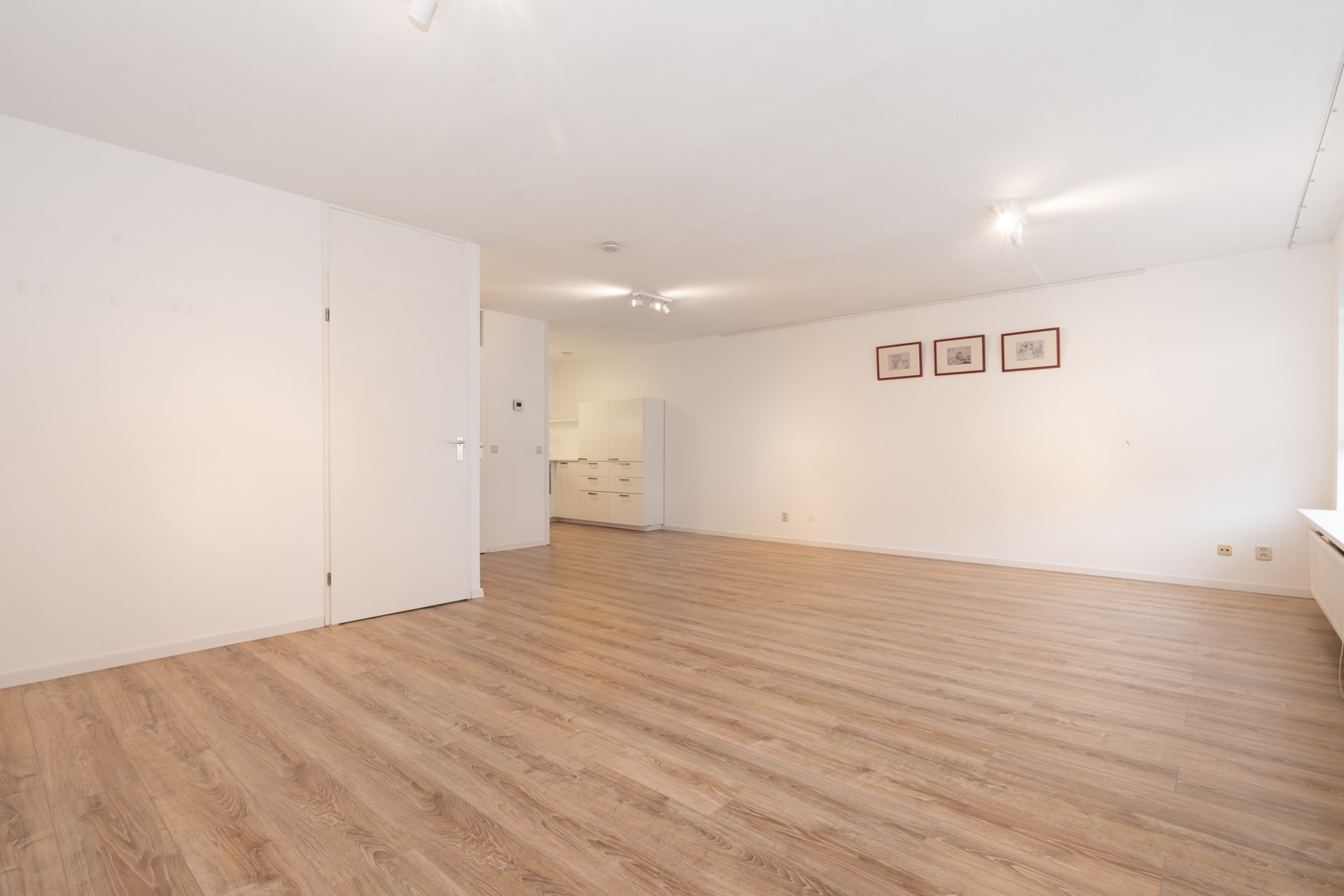 Prinses Irenelaan 44, Midden Delfland foto 4