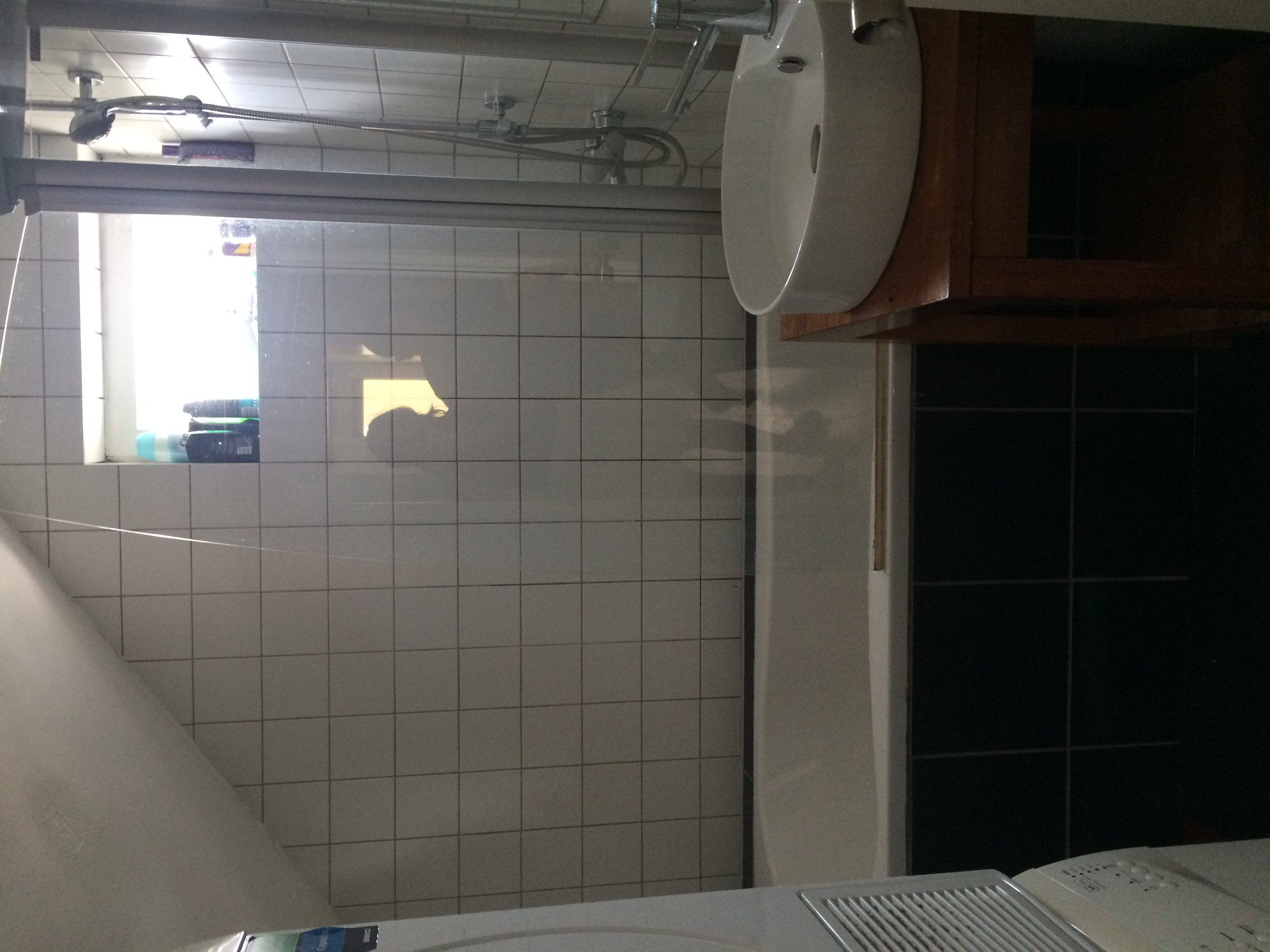 Goudvink, Nieuwegein foto 5