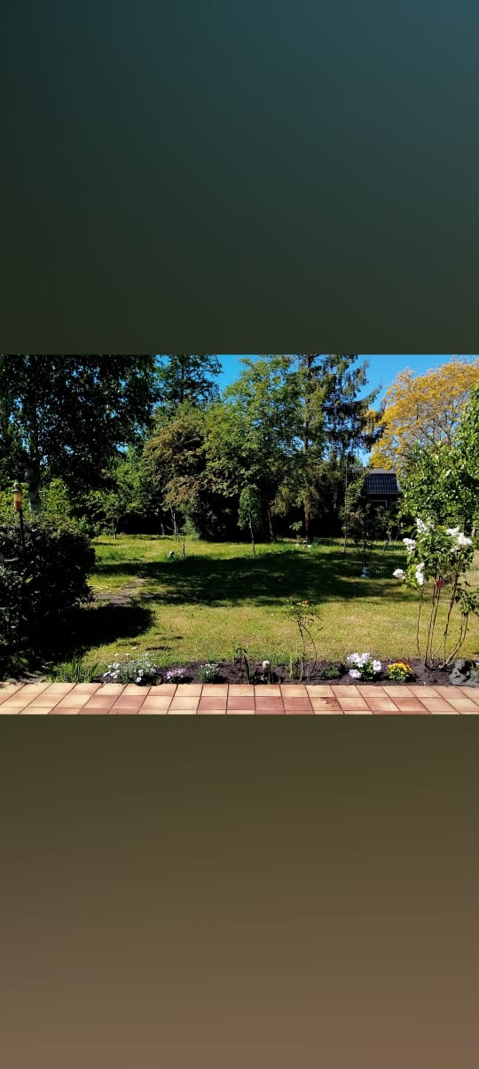 Molenlaan, Berkelland