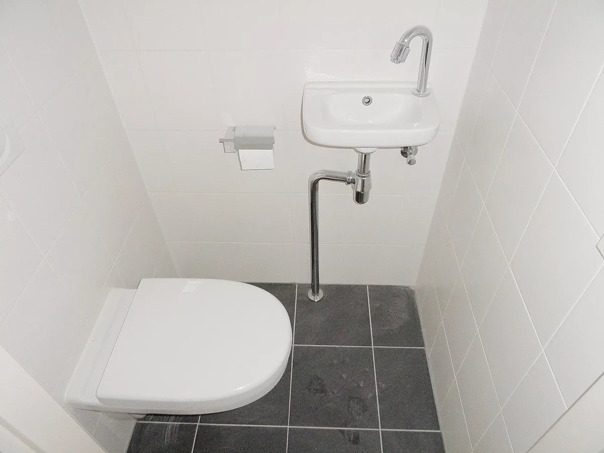 Safarigeel 50, Zoetermeer foto 3