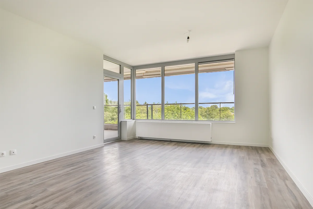 Sibeliuspark, Oss foto 2