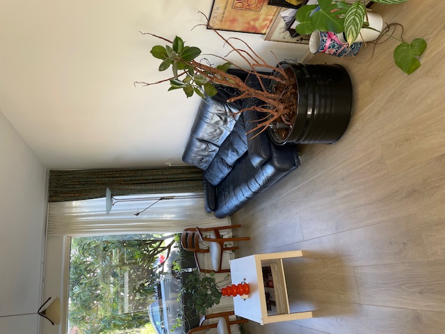 Van Dijkstraat, Diemen foto 5