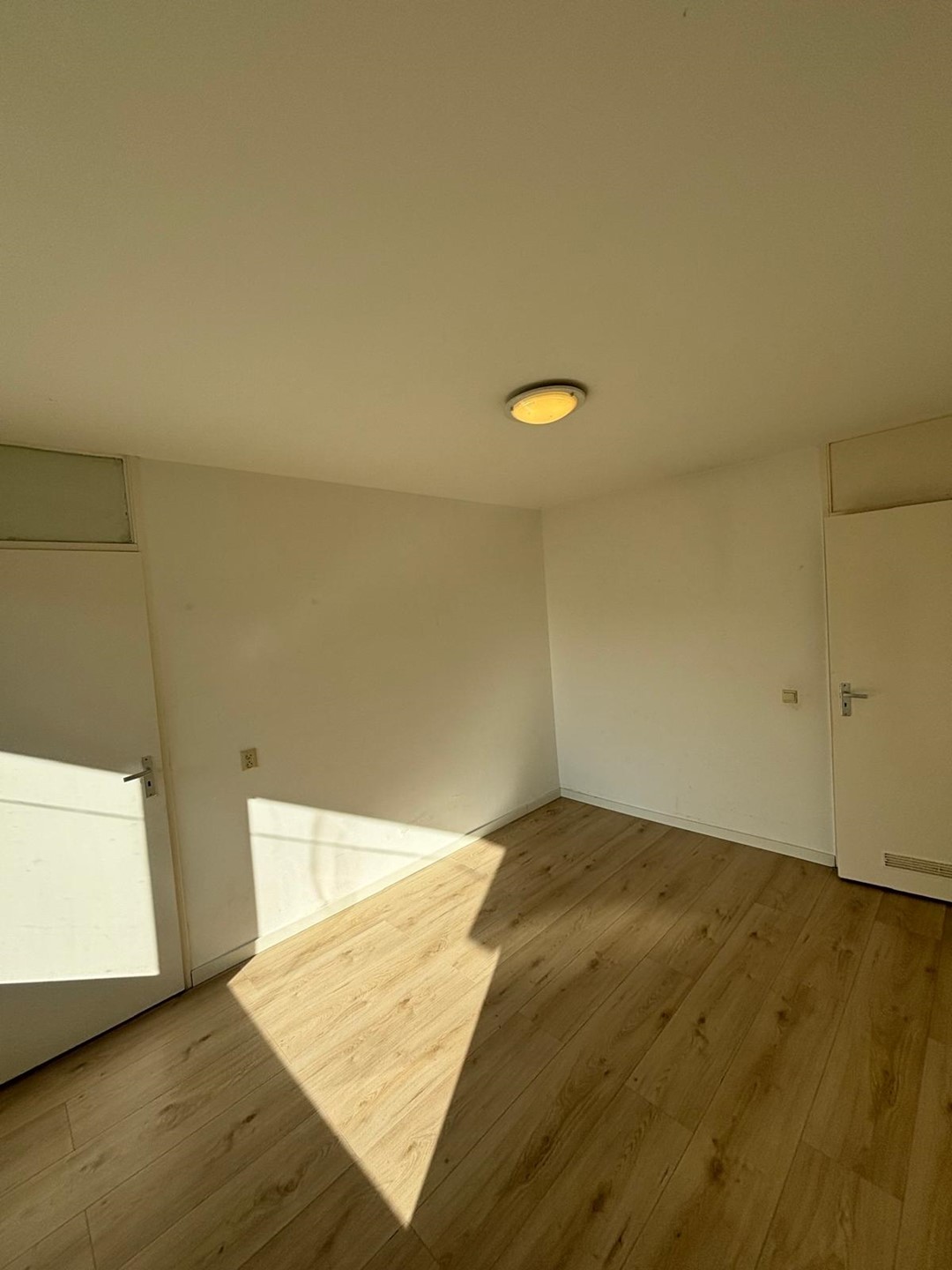 Aanbod detail, Maashorst foto 4