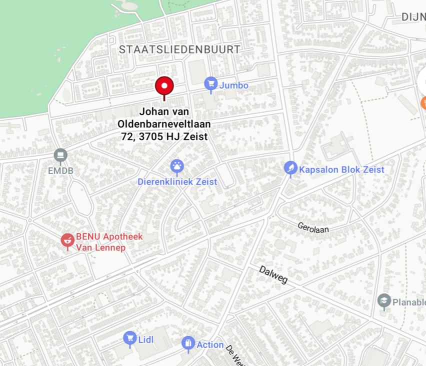 Johan van Oldenbarneveltlaan, Zeist foto 4