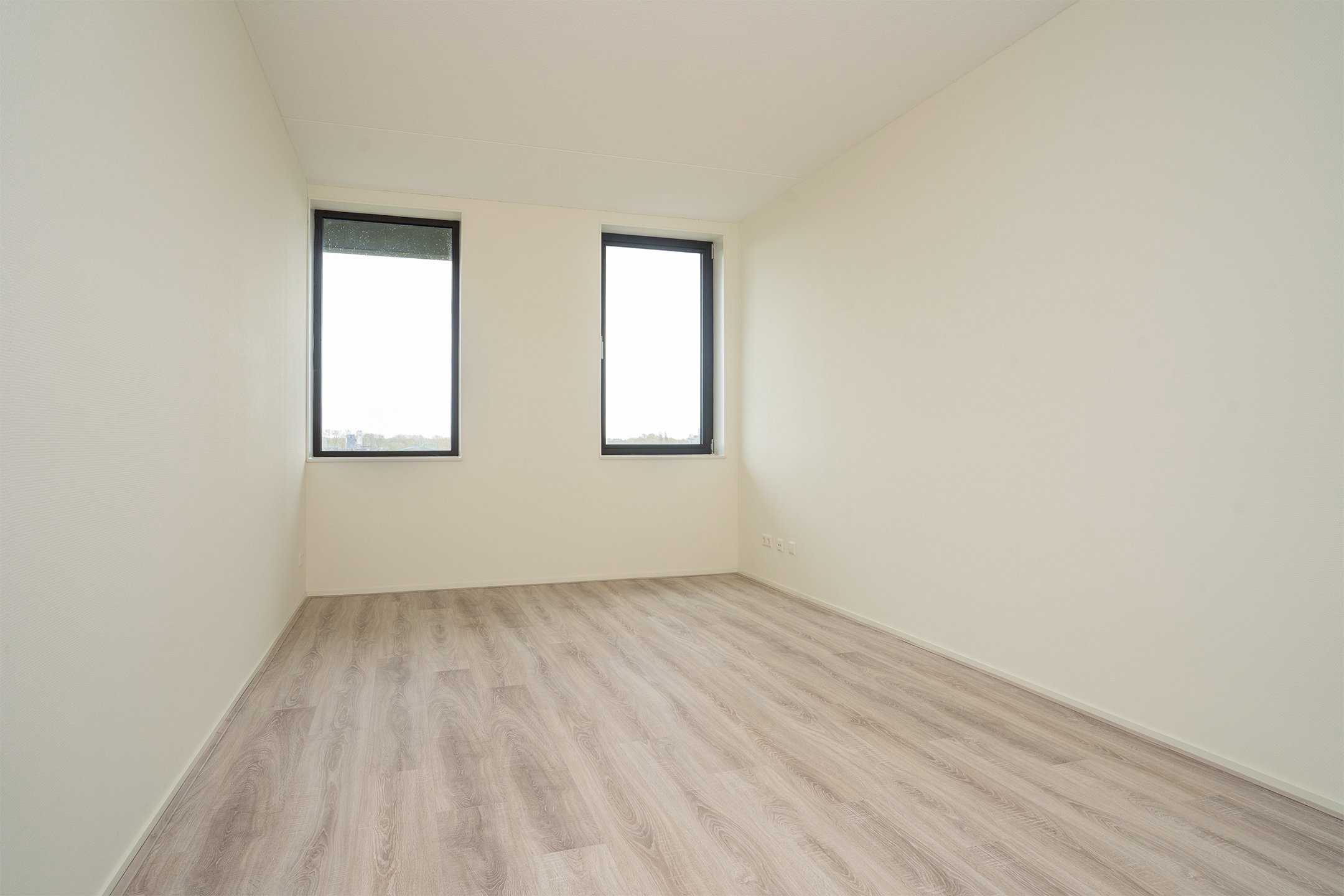 punt sniep 344, Diemen foto 4