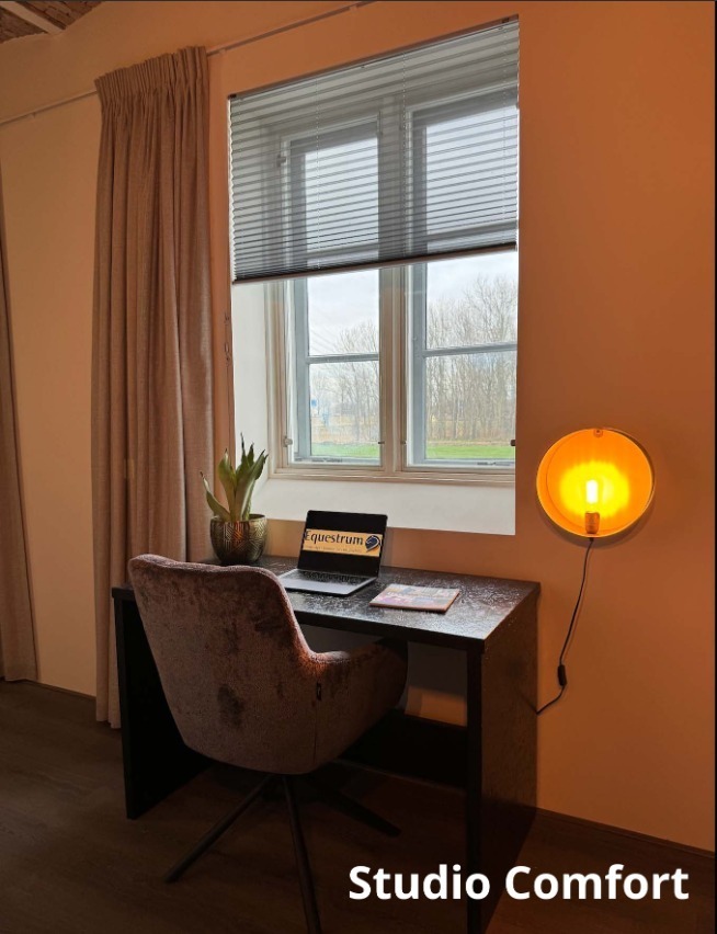 Ommedijk, Midden Delfland foto 4