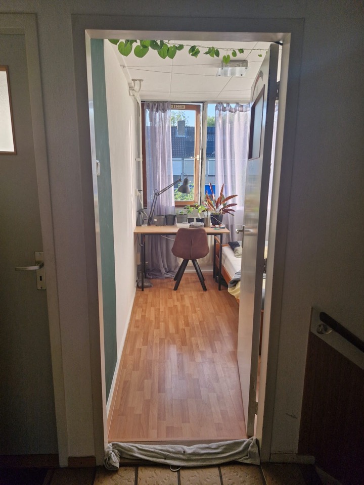 Loevesteinlaan, Arnhem foto 5