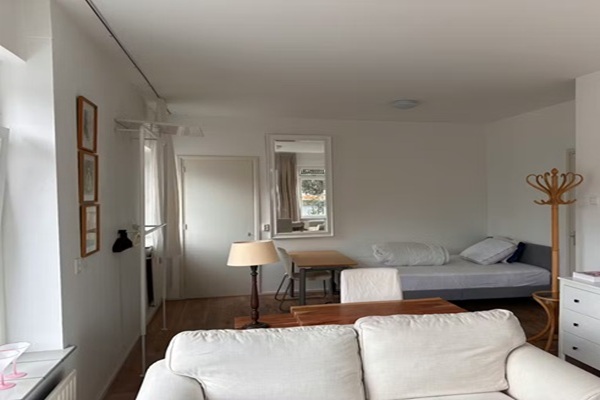 Bruinvis, Dijk en Waard foto 5