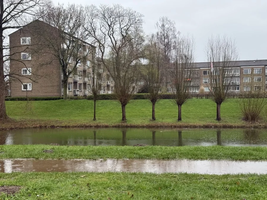 P.C. Hooftlaan, Deventer