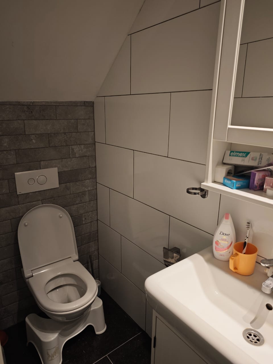 Pastoor Thijssenlaan, Heeze Leende foto 4