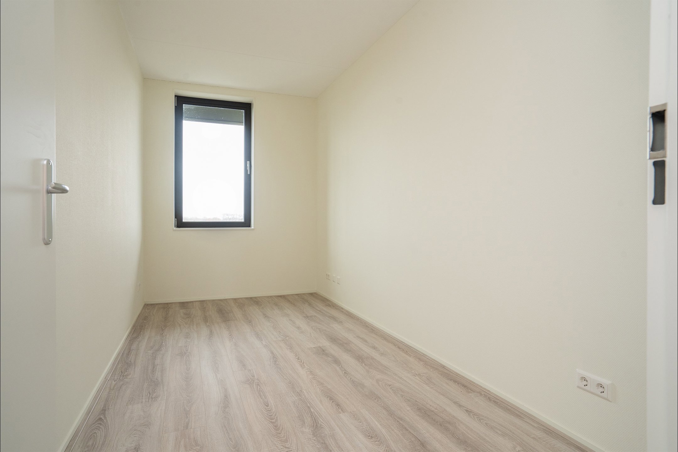 punt sniep 344, Diemen foto 3