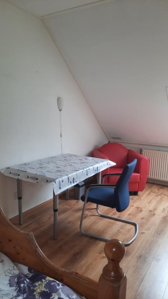 Speenkruid, Midden Drenthe foto 2