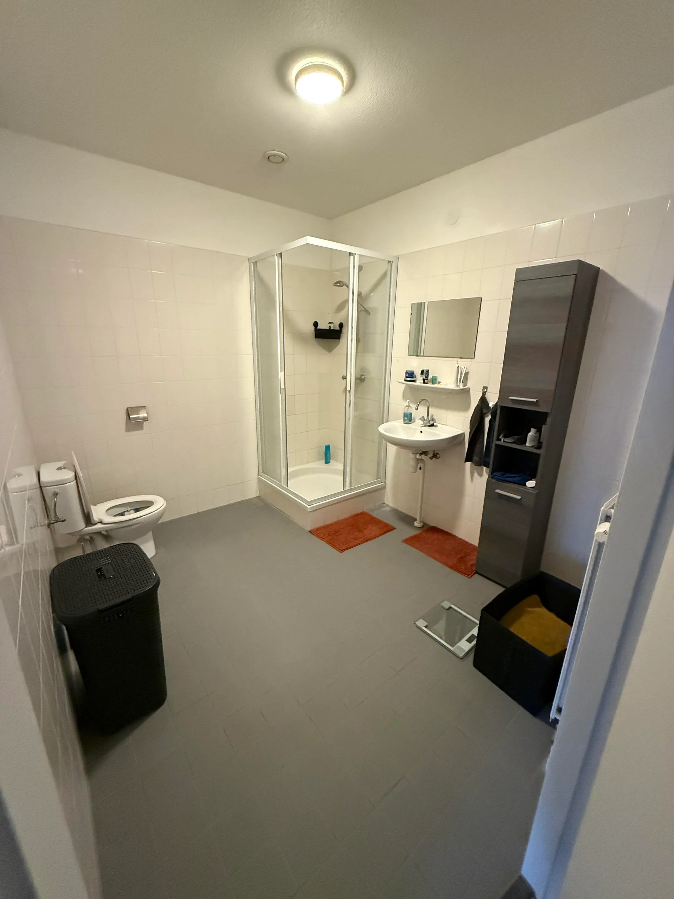 Oortjesburg 60, Nieuwegein foto 3