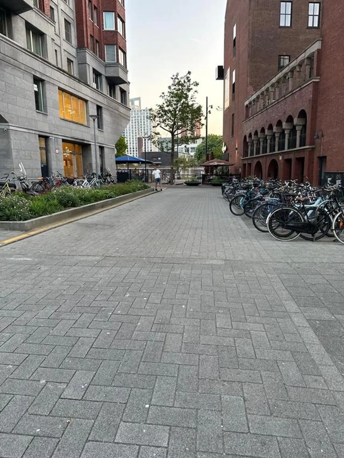 Willem Dreeslaan 214, Zoetermeer foto 4