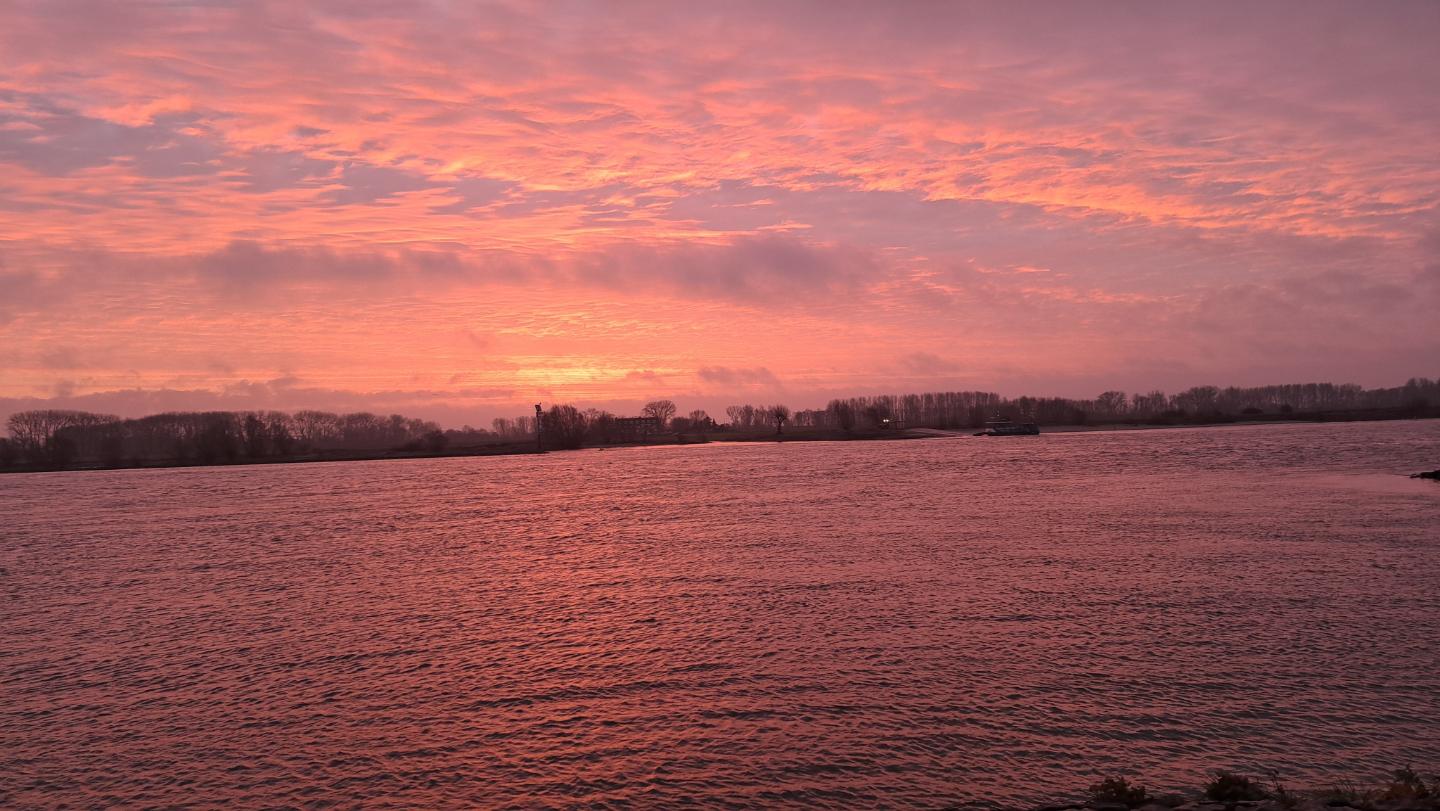 Honingstraat, Tiel foto 3