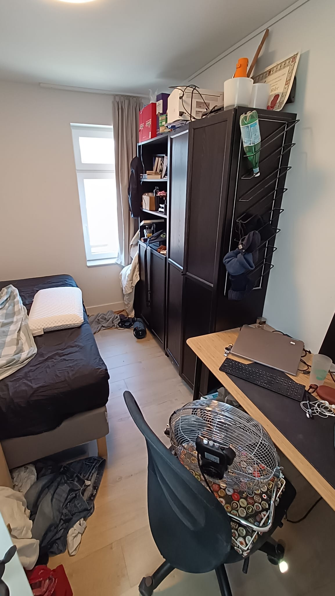 Professor Kamerlingh Onneslaan, Schiedam foto 3