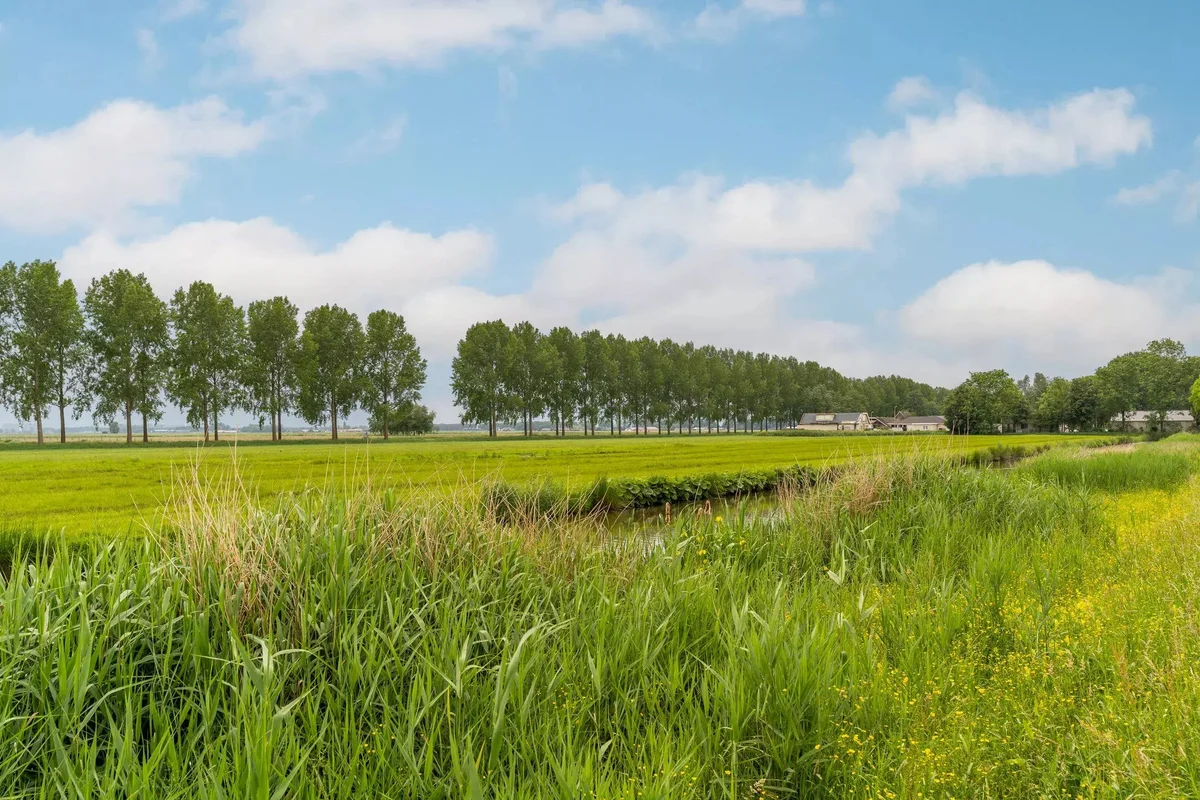 Meerpaal, Amstelveen foto 4