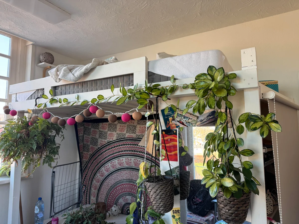 Schouwtjeslaan, Haarlem