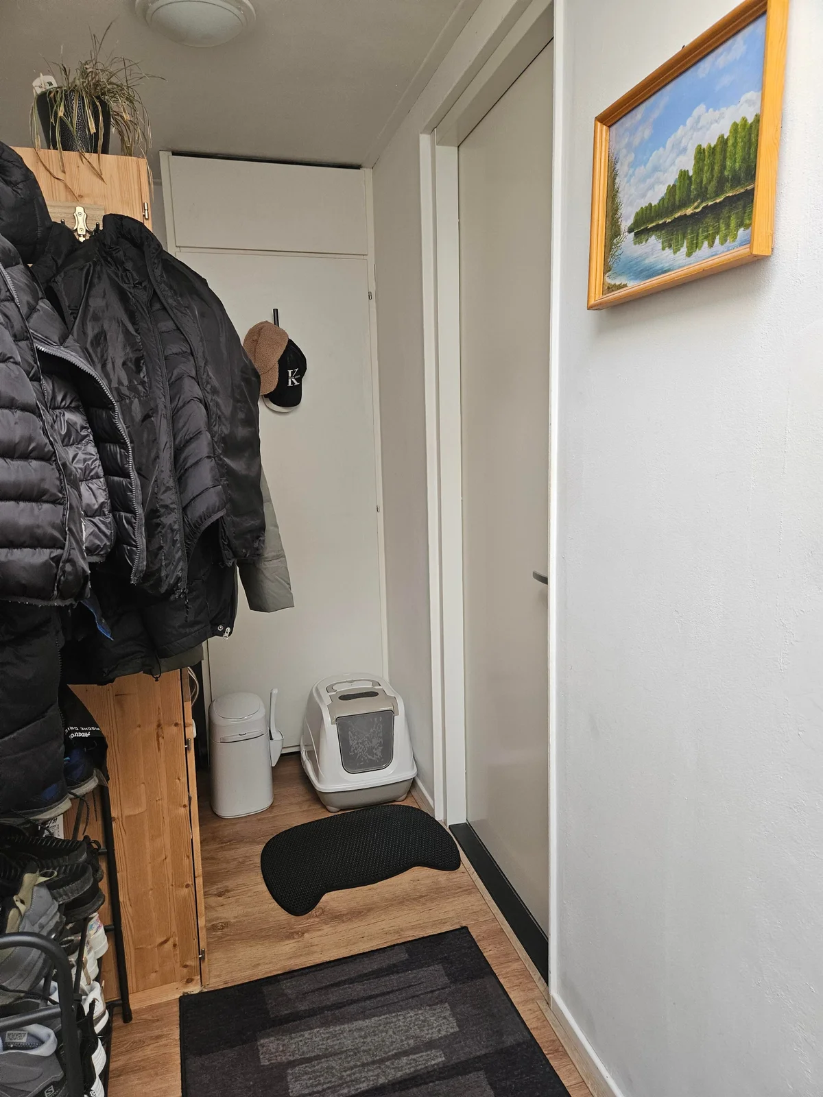 Van Roomenstraat, Roosendaal