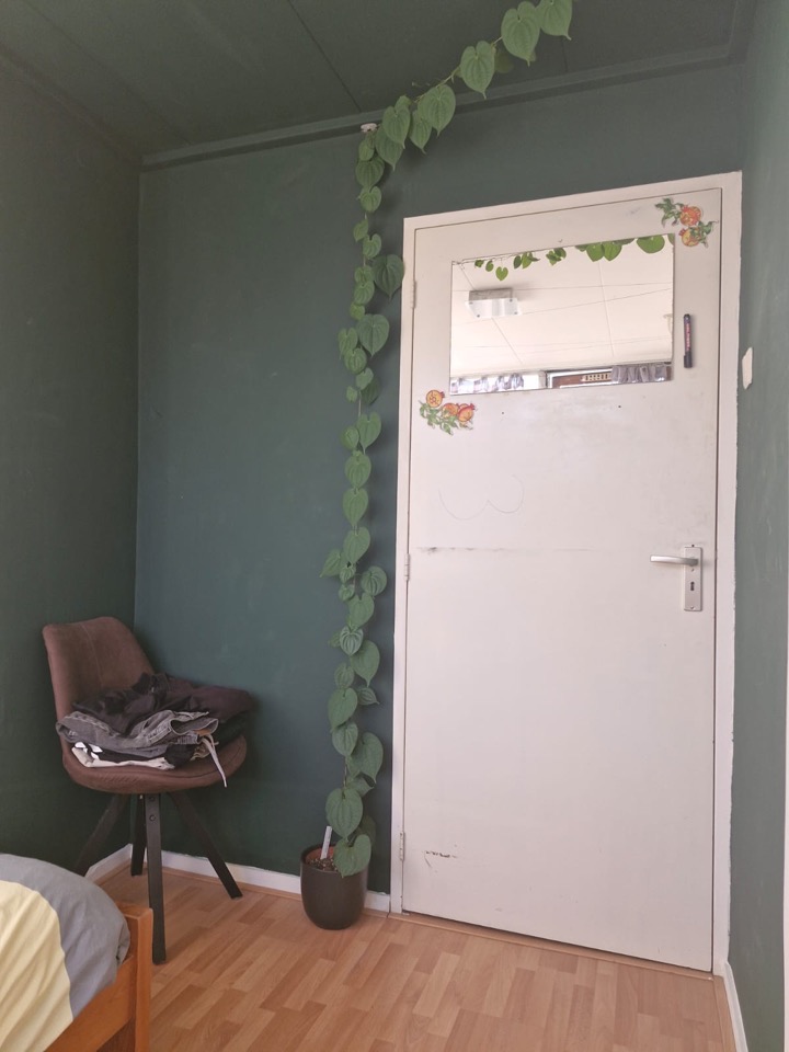 Loevesteinlaan, Arnhem