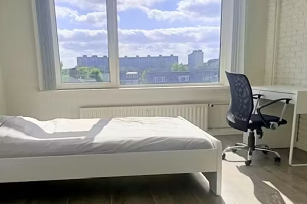 Bruinvis, Dijk en Waard foto 3