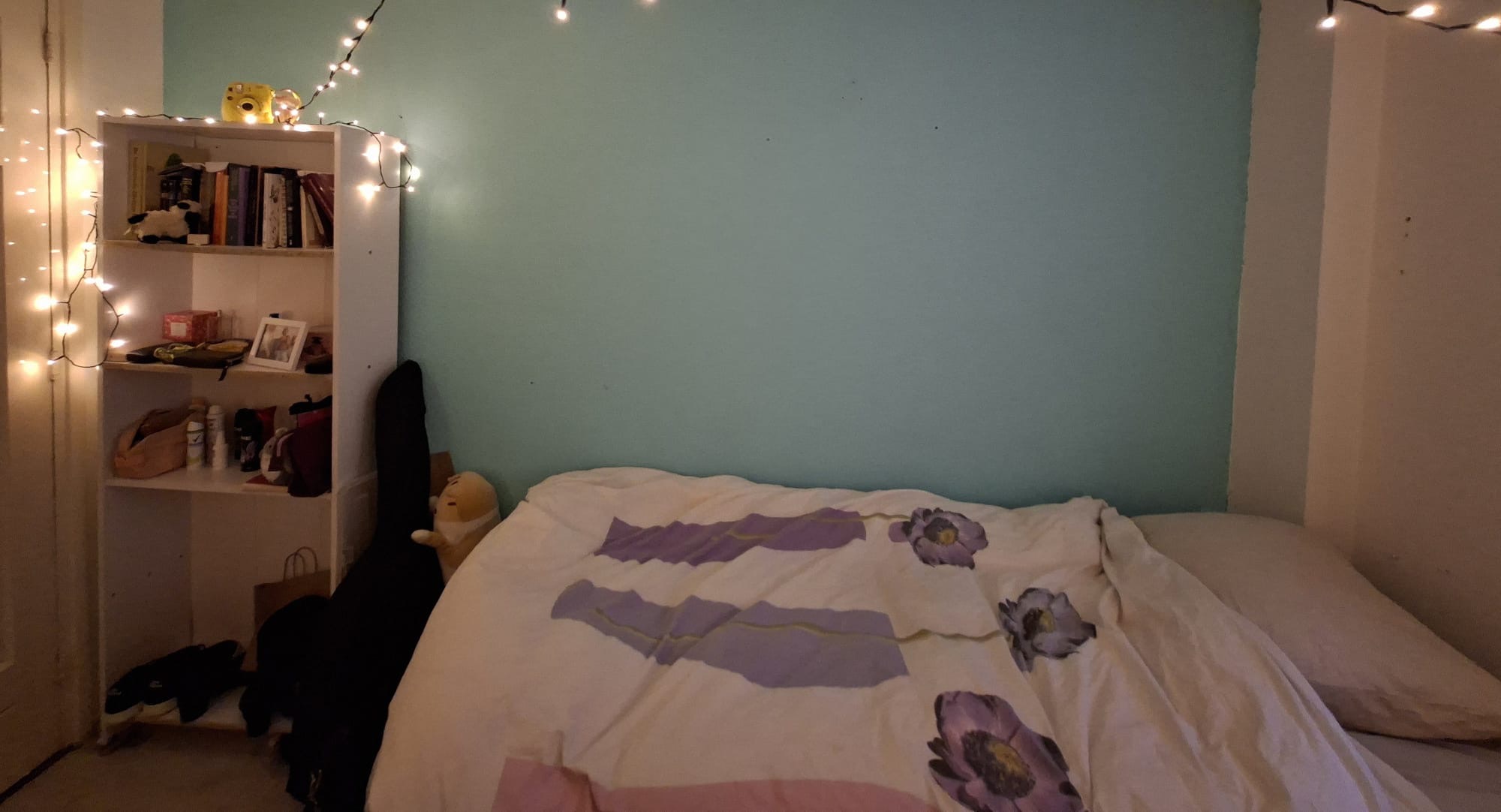 Rector Nuijensweg, Oss foto 5