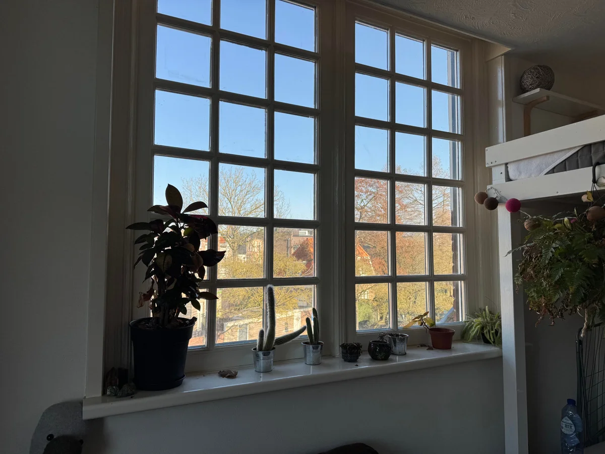 Schouwtjeslaan, Haarlem