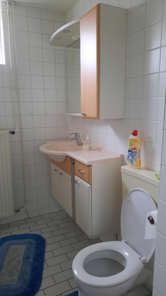 Speenkruid, Midden Drenthe foto 4