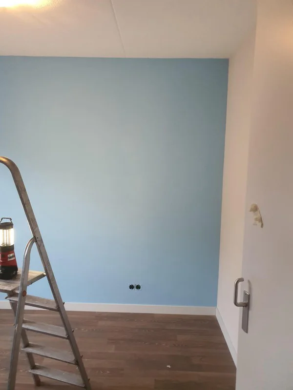 President Steynstraat, Velsen foto 3