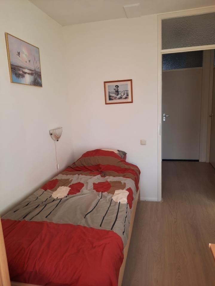 Speenkruid, Midden Drenthe