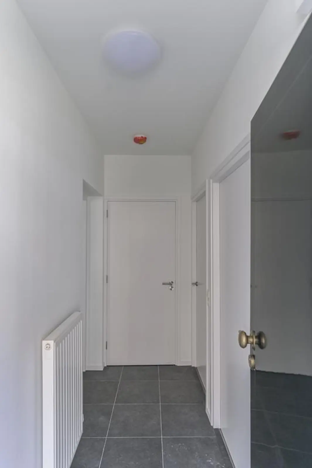 Steenweg 1, Maasgouw