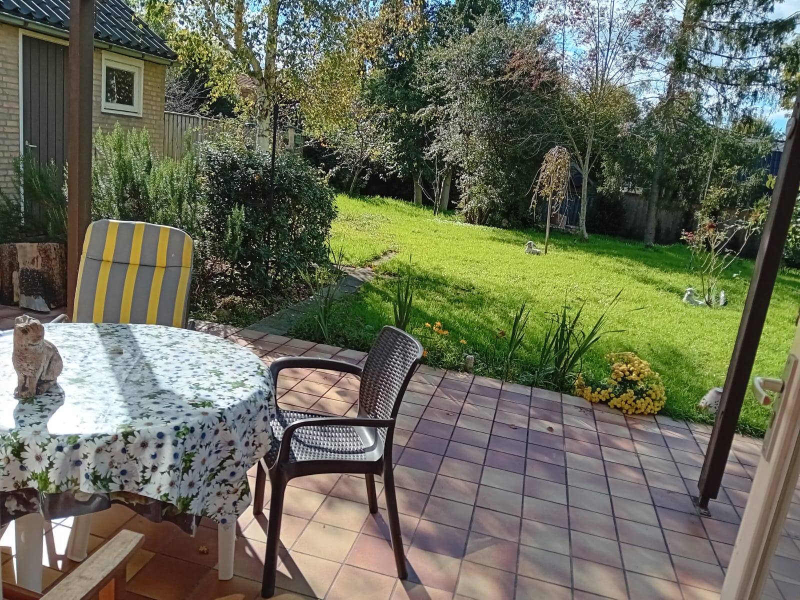 Molenlaan, Berkelland foto 5